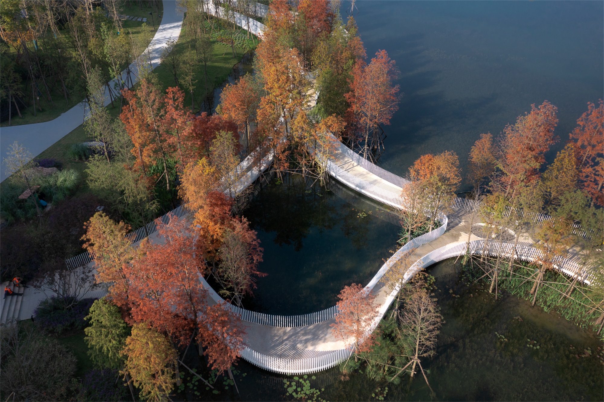 成都兴隆湖·湖畔森林图书馆丨中国成都丨昱道景观-83