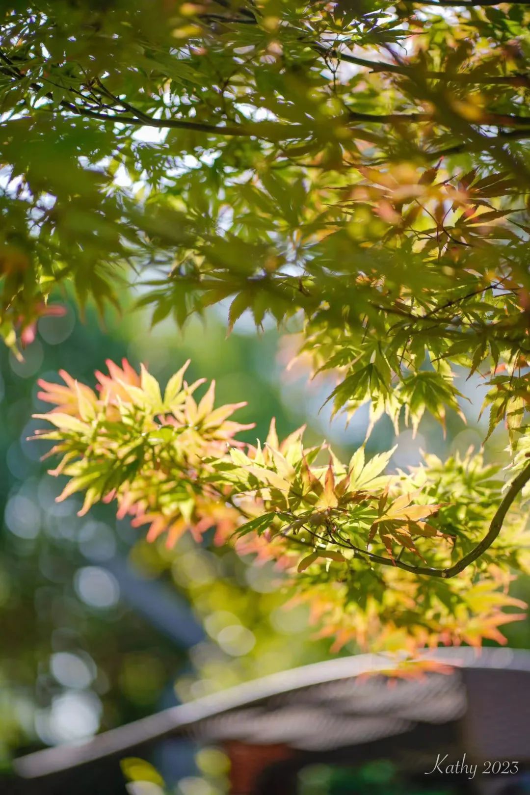 一米花园丨中国上海丨专业设计团队-67