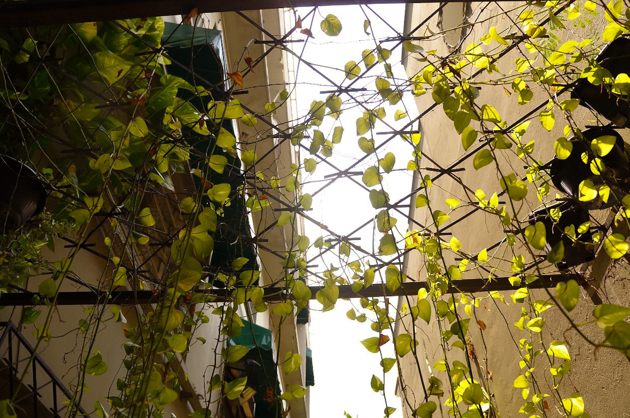 Hotel Casa dos Frades-1