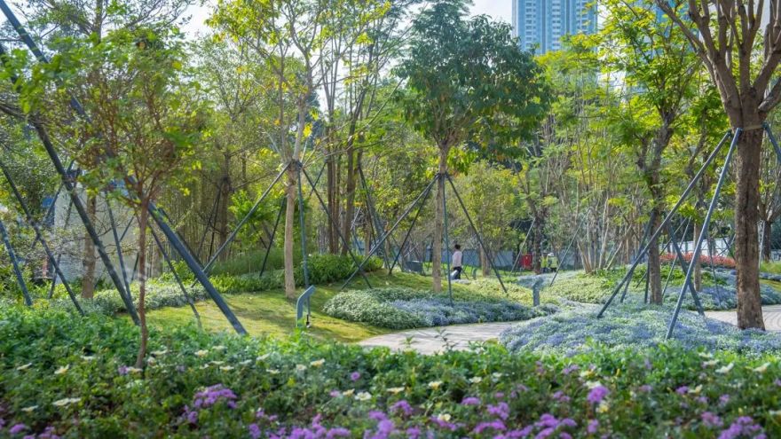 深圳智见·云上 · 科技与自然融合的社区公园丨中国深圳丨林俊英景观工作室,深圳市造源景观旅游规划设计有限公司-124