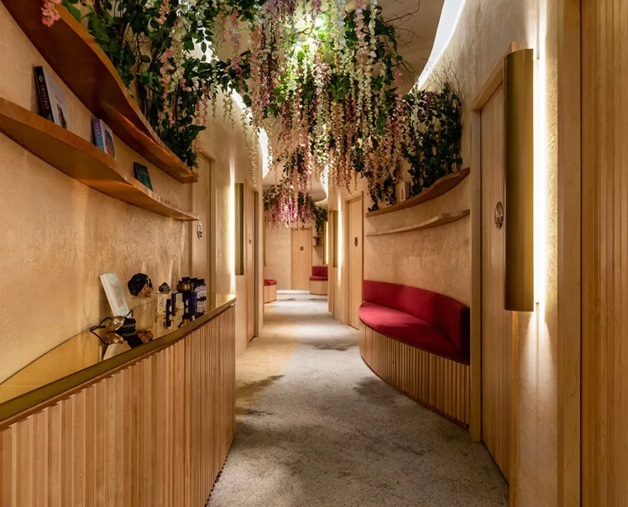 Rebirth Under the Stars-19