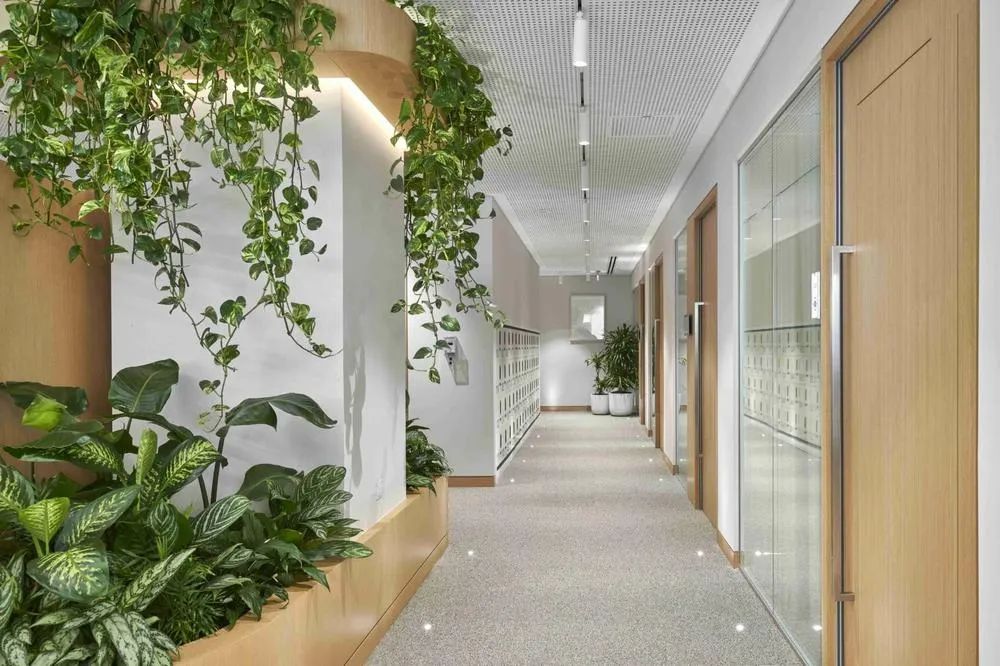 Roche 罗氏迪拜办公室丨阿联酋迪拜丨Allen Architecture Interiors Design-8