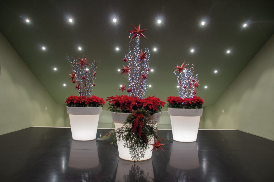 Animac国际动画电影节视觉形象及导视系统设计丨西班牙-39