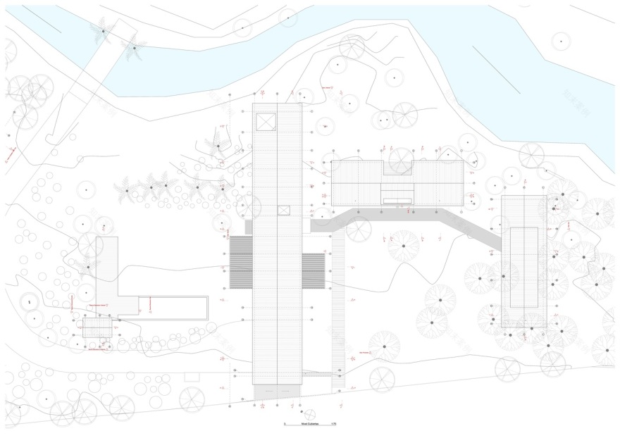 智利红木森林中的周末度假屋-35