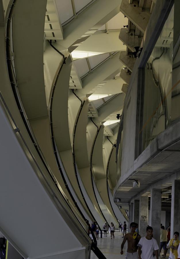 阿雷纳·达·阿玛宗尼亚体育馆-5