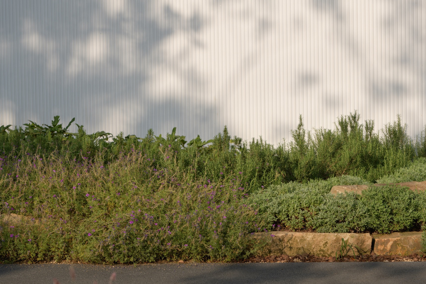 成都趣野公园（屋头公园）丨中国成都丨大小景观-209