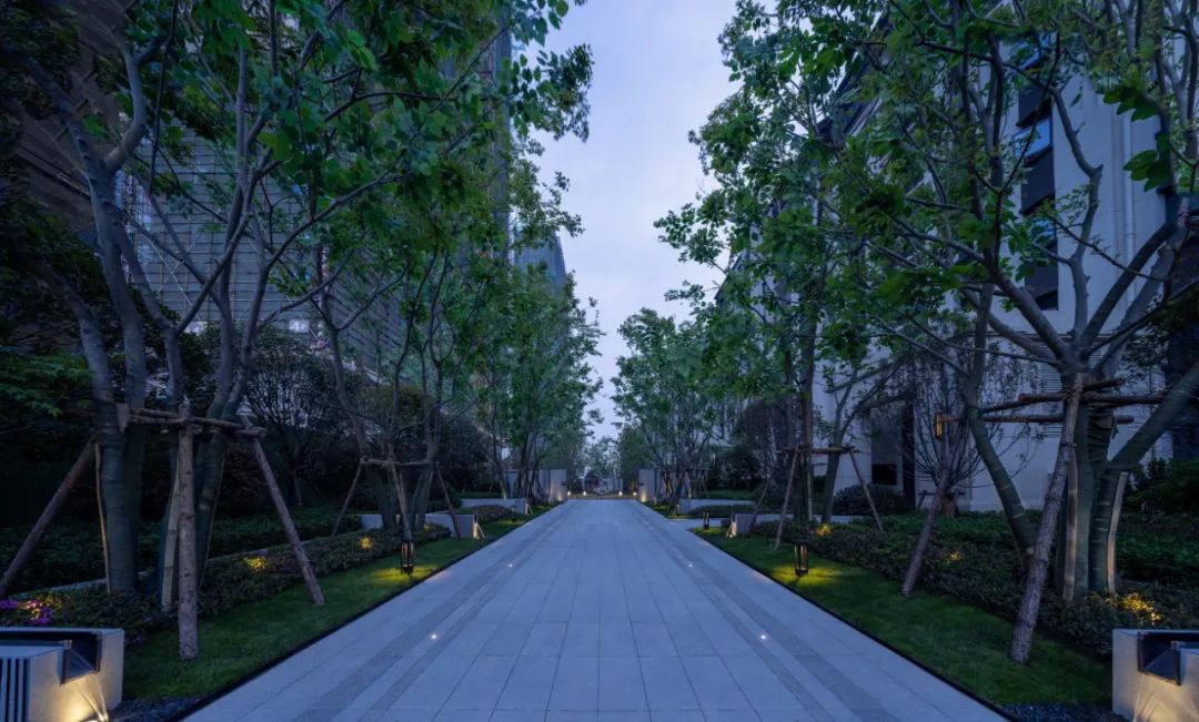 园路列植设计丨上景总工办-79