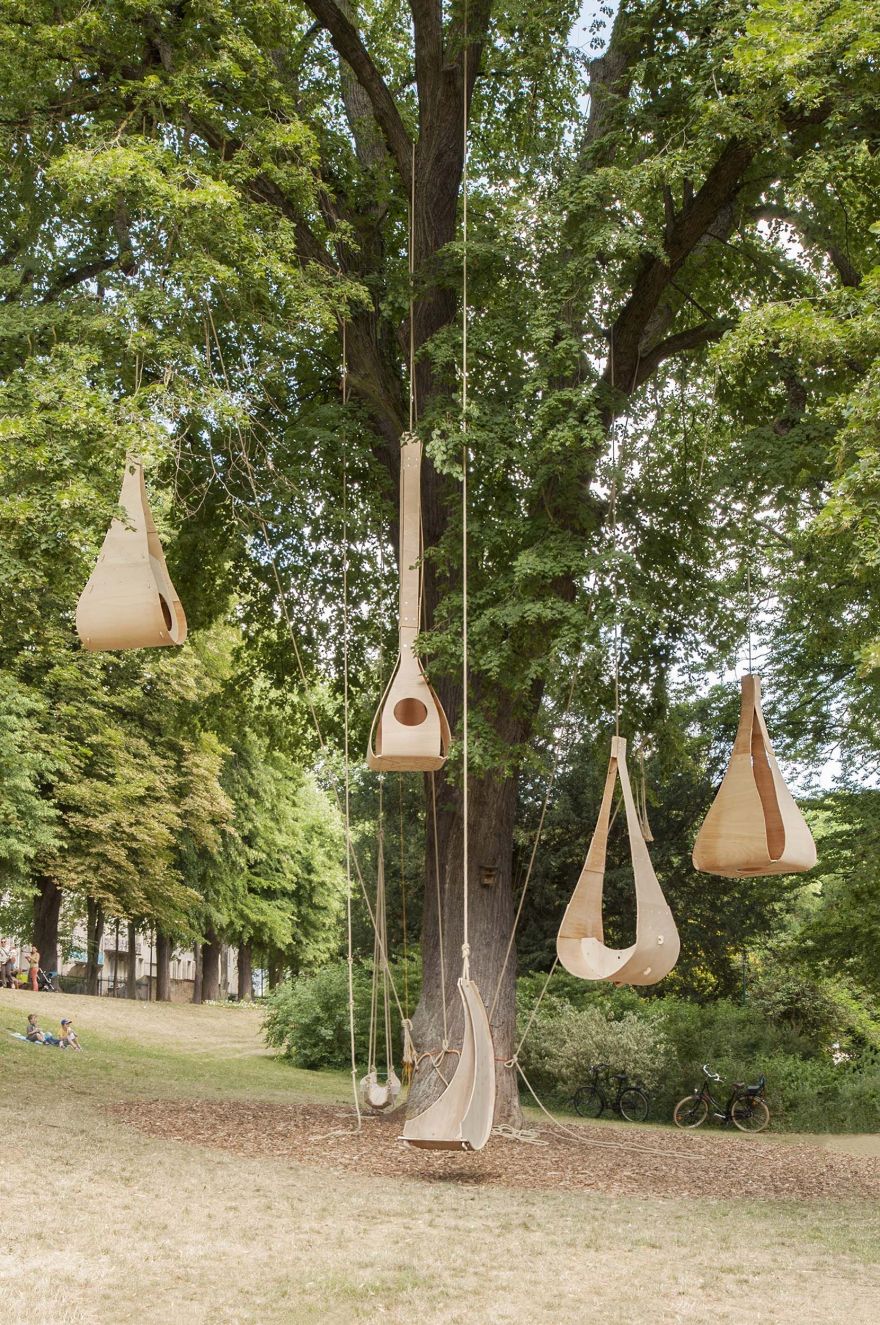 南锡的空贝壳-1