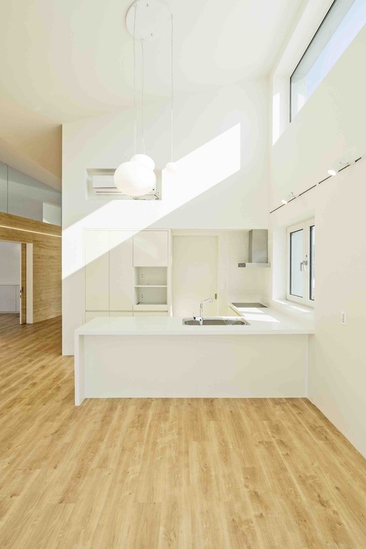 温暖阳光照亮受伤主人生活-19