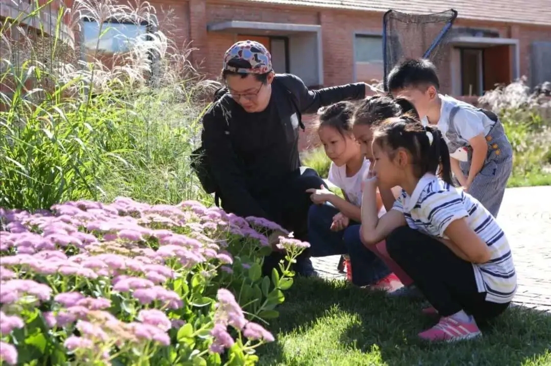 北京野鸭部落研学教育综合体丨中国北京丨奥雅设计-10