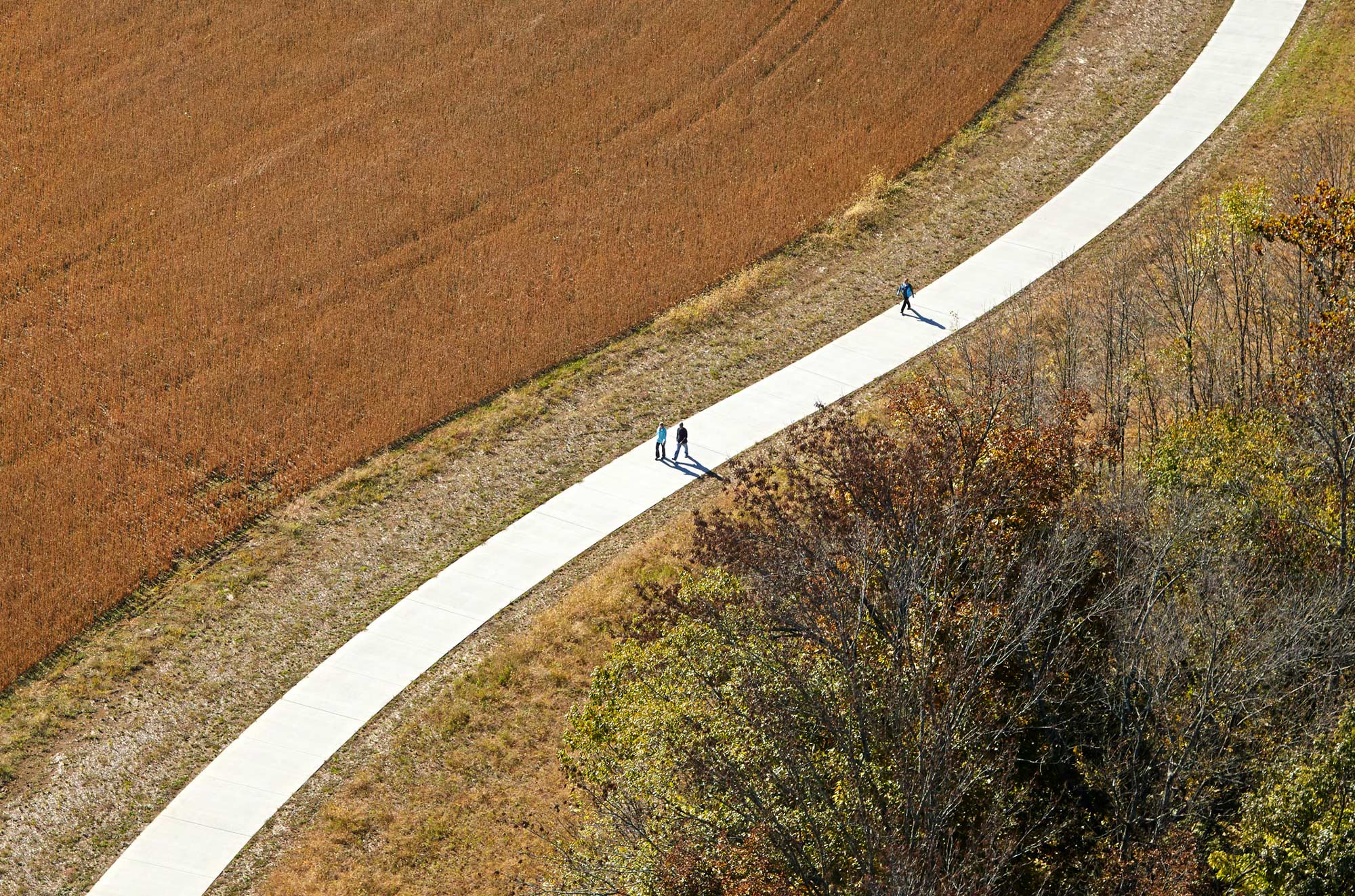 弗洛伊德河公园-0