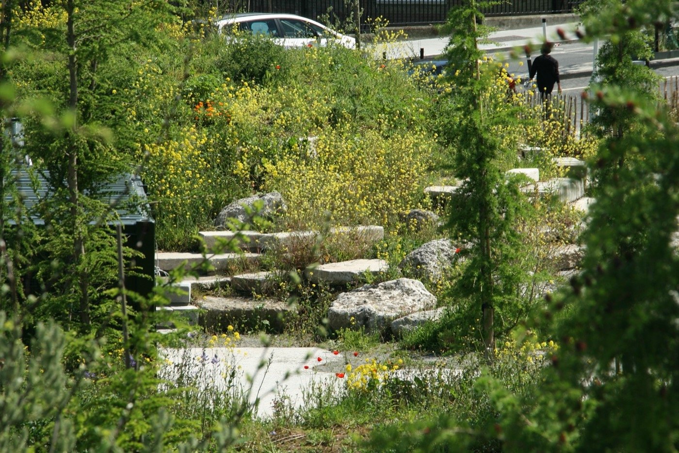 爱尔兰布里奇福特街公园丨DFLA-6