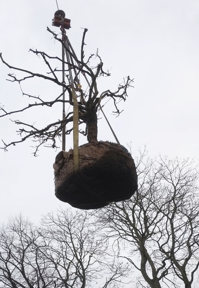 丨英国伦敦丨6a architects-8