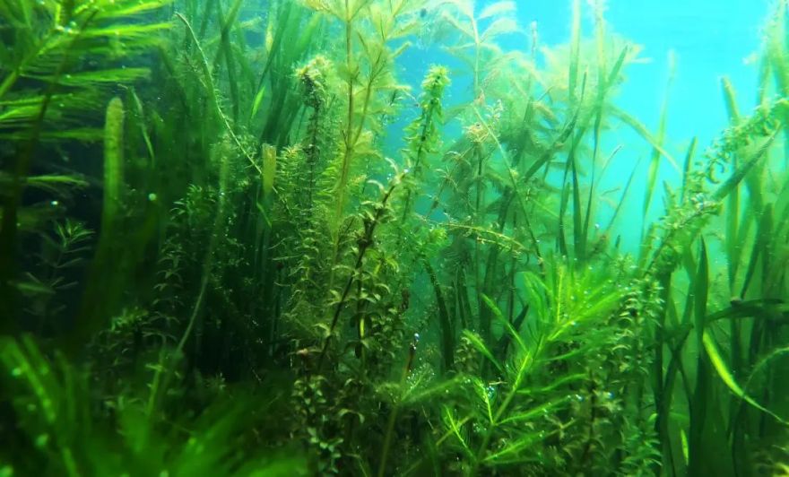 公司参建项目入选浙江省“绿水青山就是金山银山”转化典型案例-8