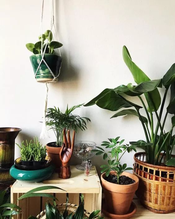 30㎡小户型也能拥有花园,设计师的神奇打造!-36