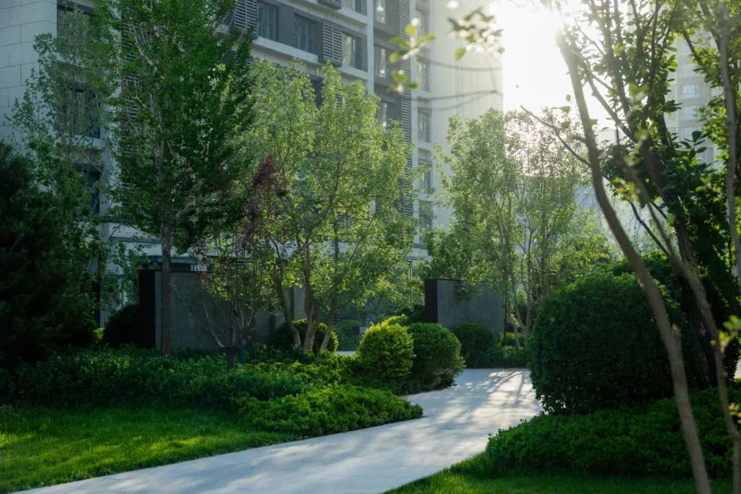 华远·和府·涿州丨中国河北丨麦田景观-22