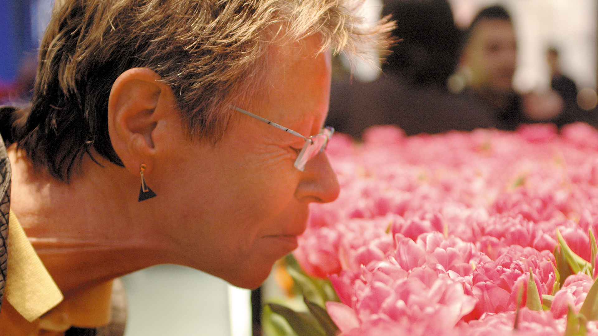 Sample - Fair - Projects - D'art Design Gruppe-4