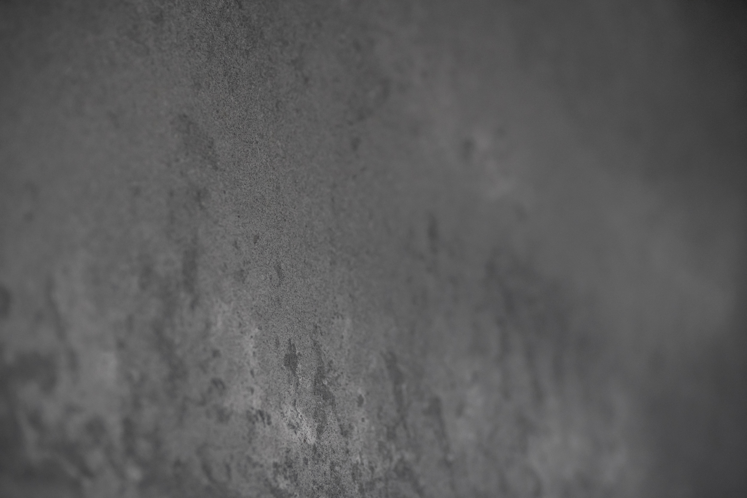 The Gallery House | Julian Parkinson-13