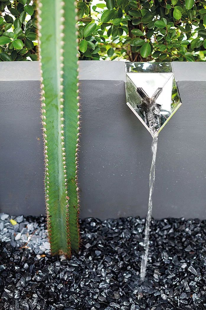 SECRET GARDENS 庭院系列-31