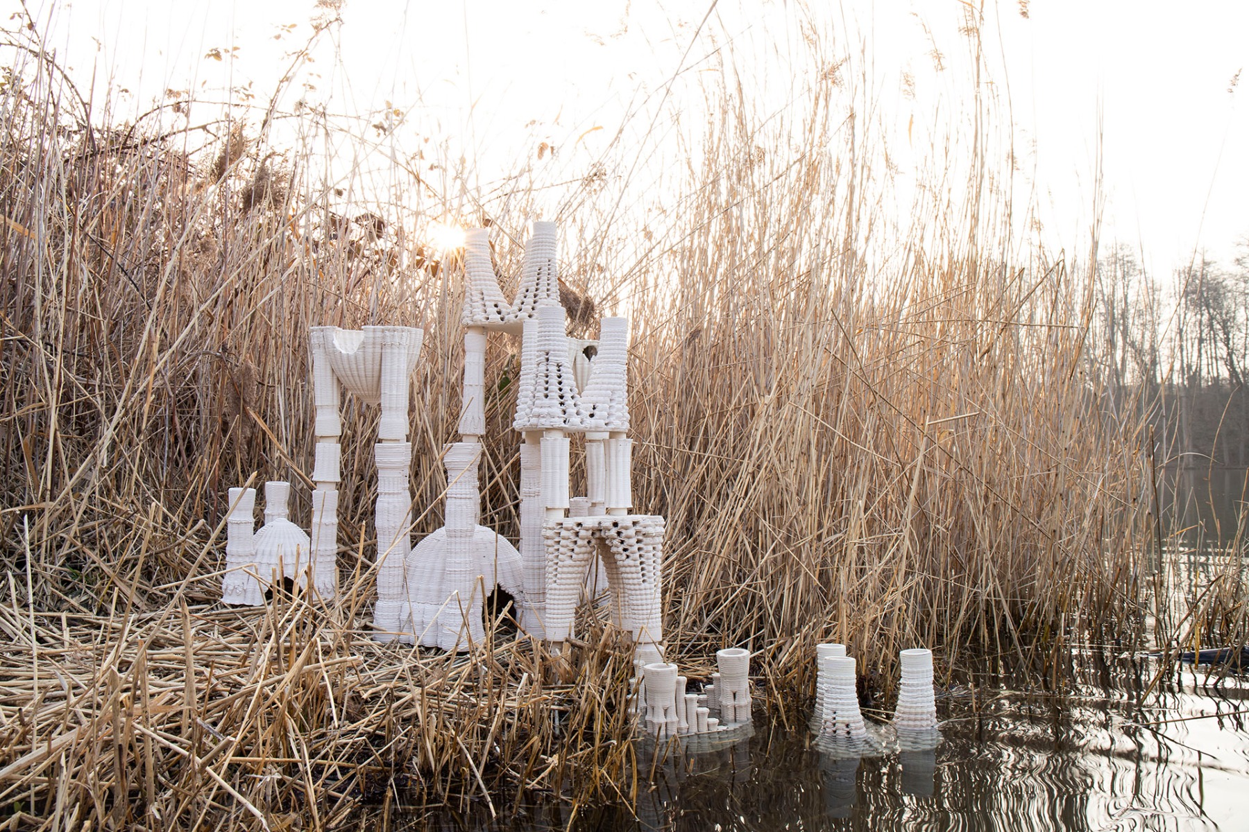 获奖项目之希尔德斯海姆两栖生物栖息地-5