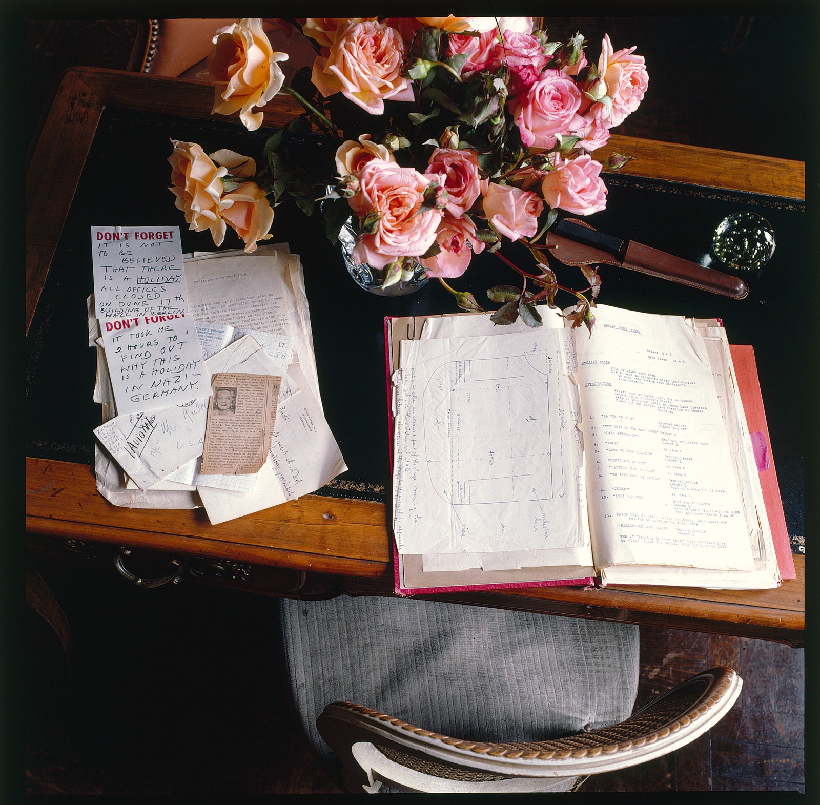 传奇影星马琳·迪特里希的纽约公寓 | 一段逝去的辉煌历史-12