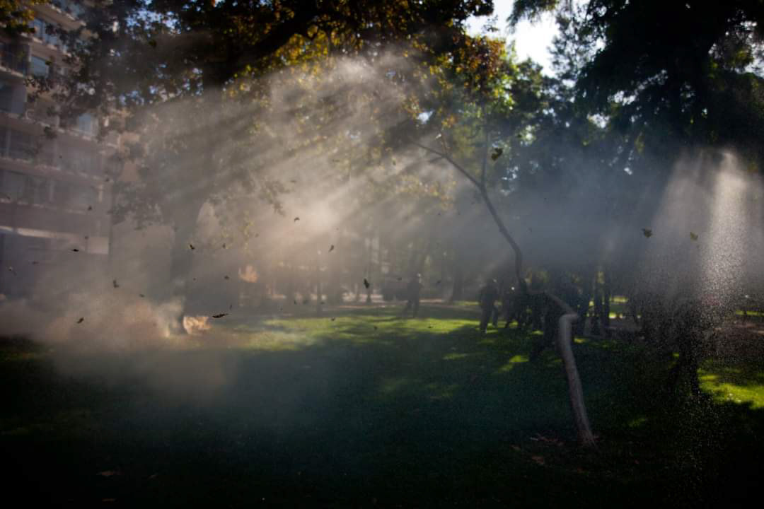 Jornada de protestas en Chile (13 de marzo del 2021)-7