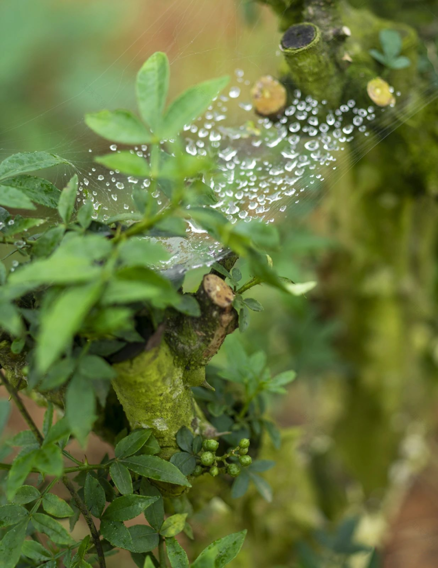 重庆·椒园丨中国重庆丨重庆尚壹扬装饰设计,重庆悦集建筑事务所-55