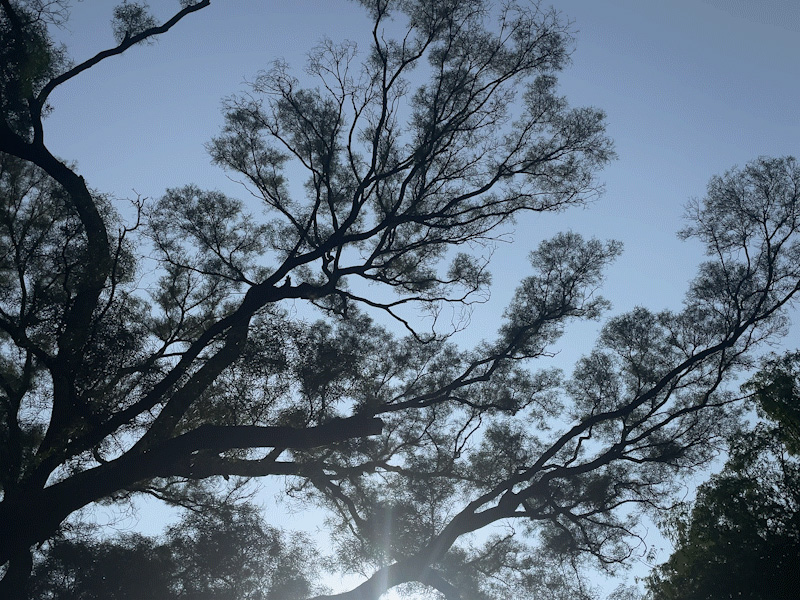 「紅」·經典潮菜（深圳店）丨中国深圳丨AD ARCHITECTURE｜艾克建築設計-10