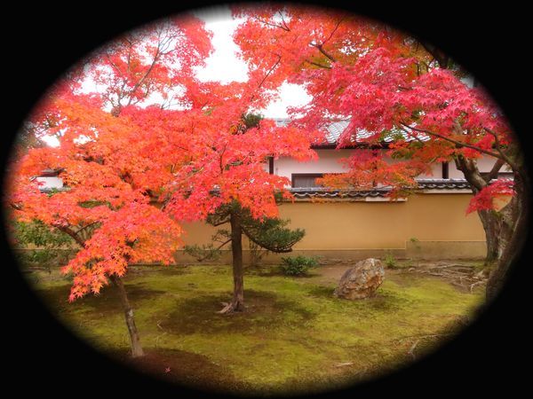 对龙山庄庭园丨日本京都丨七代目小川治兵衛-64