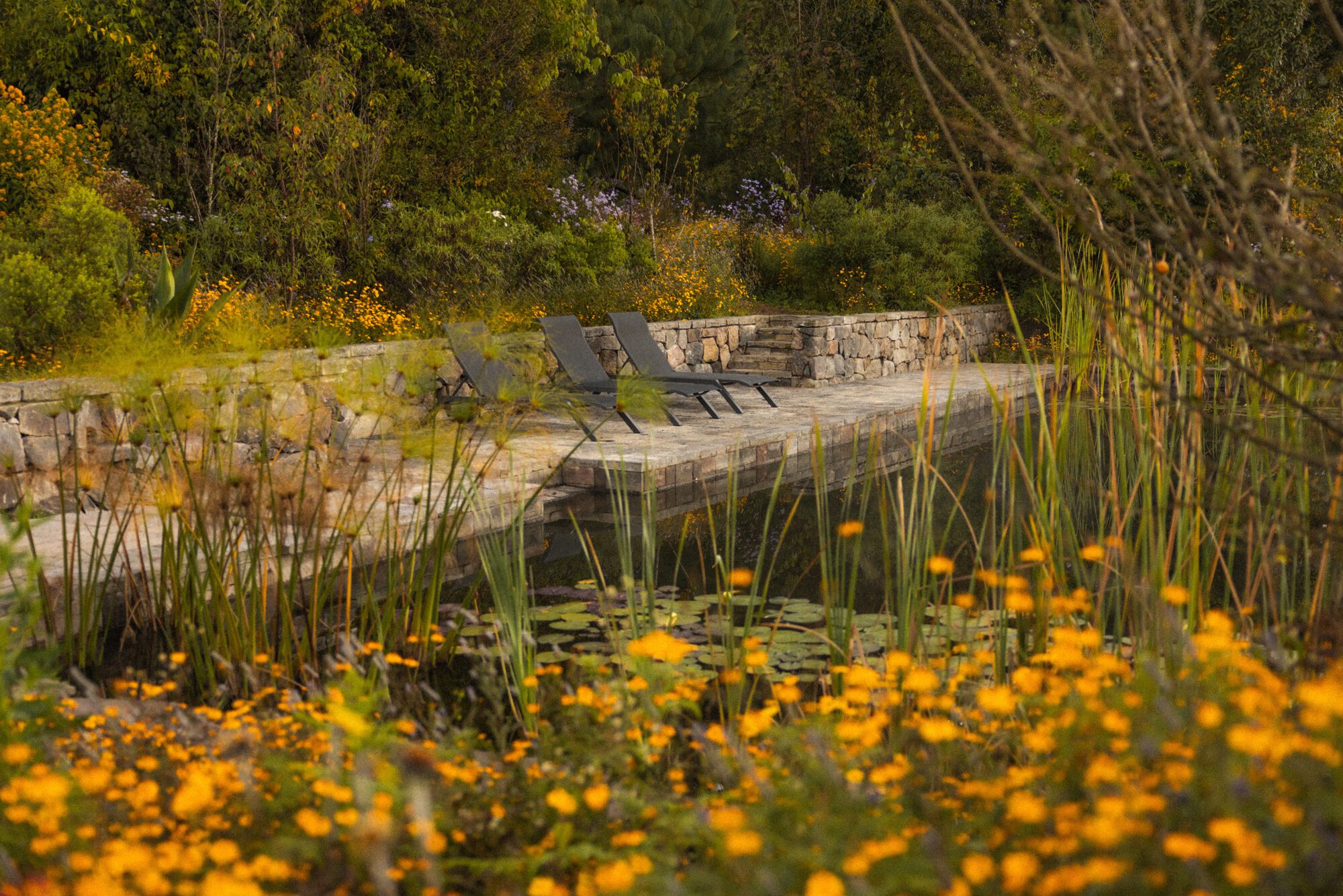 丨墨西哥丨Claudia Rodriguez,Louise Rouzaud-21