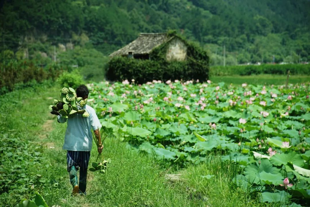 古色之美 | 传统色彩的现代演绎-59