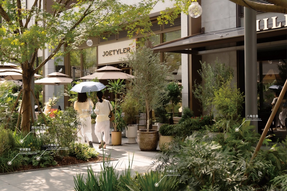 杭州亚奥万象天地景观提升丨中国杭州丨风物营造Landtek Group-43