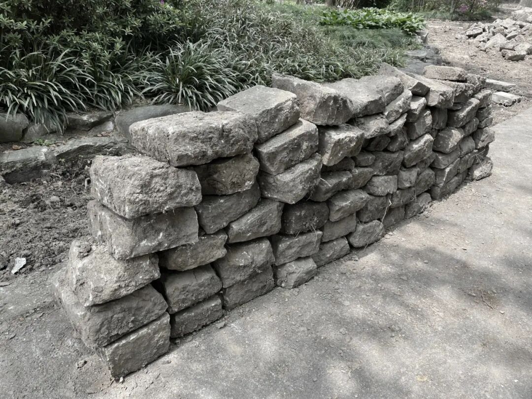 中国园林·理事专栏|“拓”之力量：杨浦公园改造纪实(三)-266