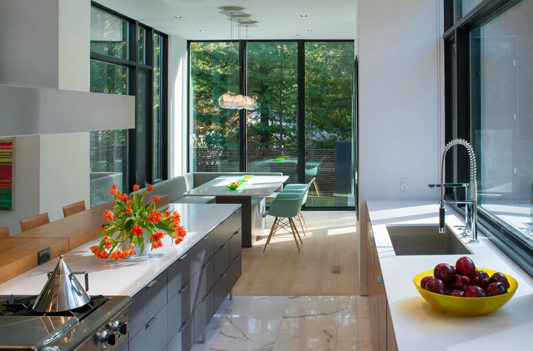 华盛顿特区当代模块化豪宅丨美国华盛顿丨Robert Gurney Architect-28