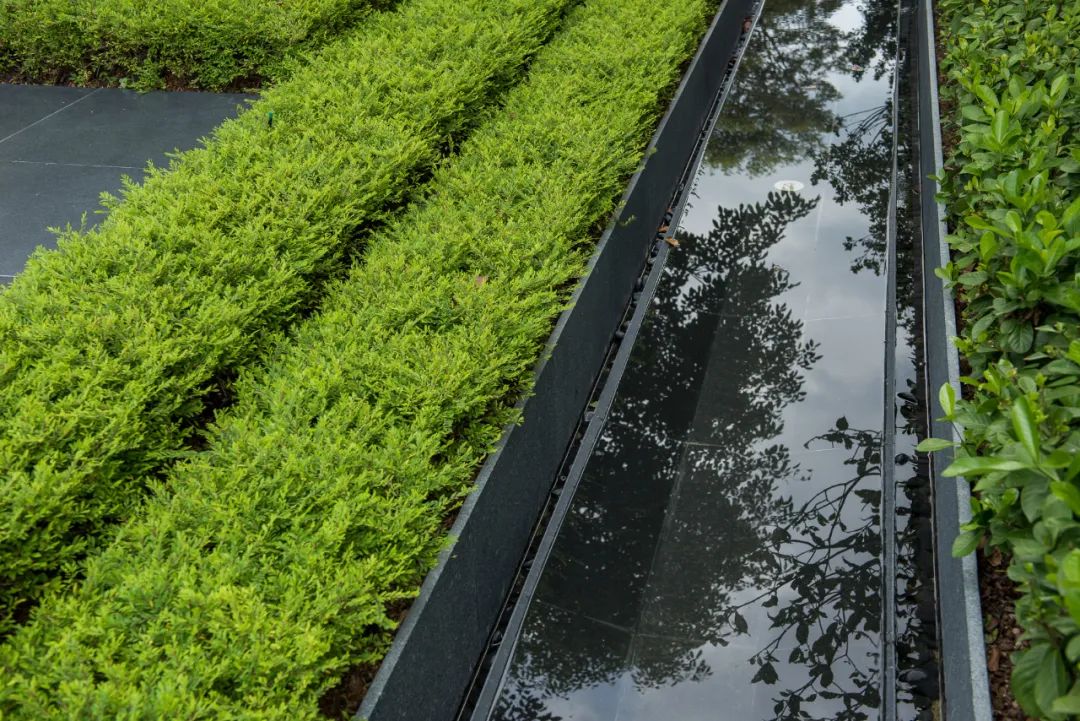 曼谷 Quarter 39 别墅景观 | 阶梯植栽与历史古树共生的绿色家园-28