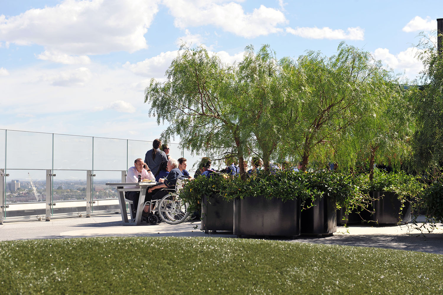 维多利亚综合癌症中心周围景观-24