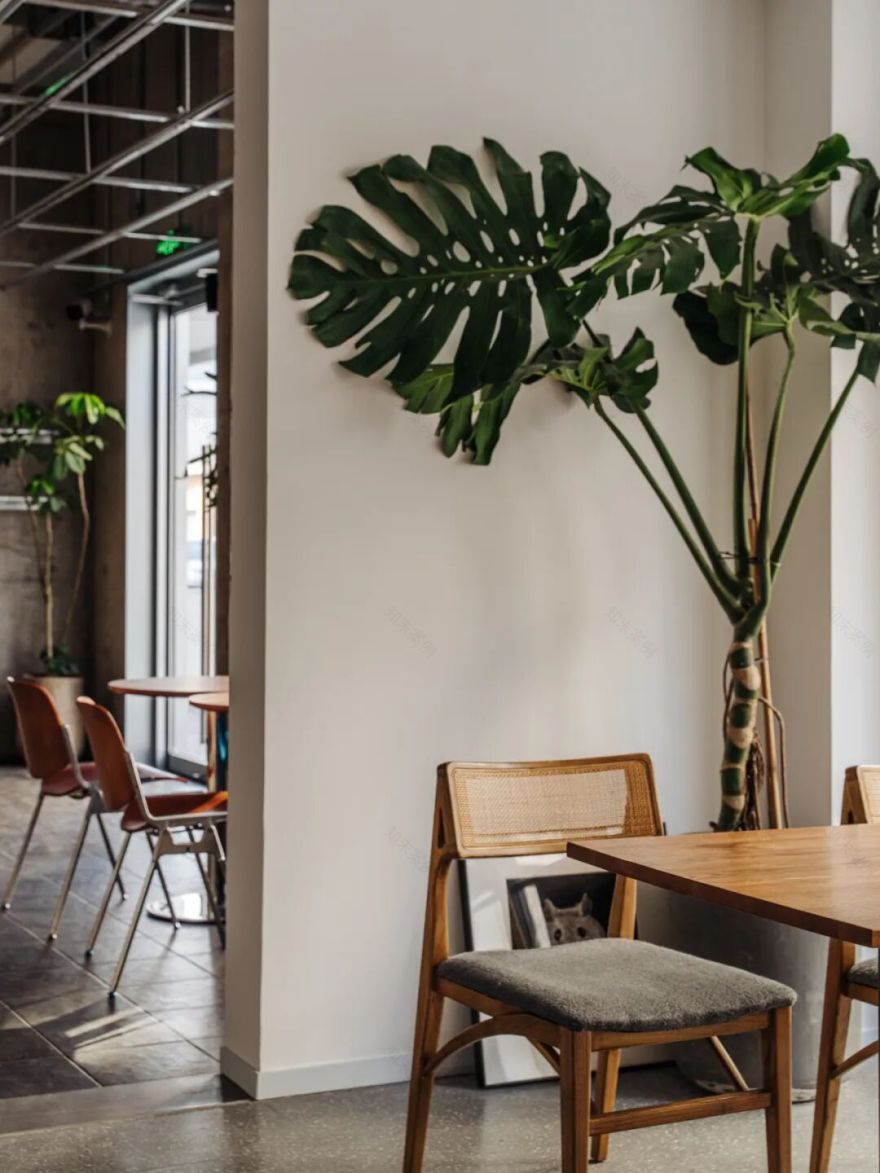 WELIVE新作丨阿那亚AZCoffee-33