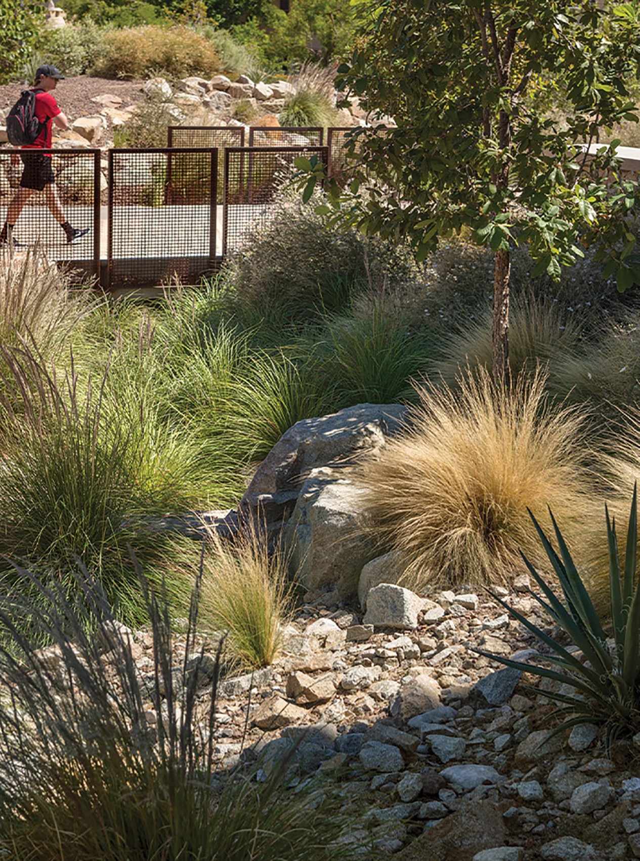 德克萨斯大学埃尔帕索分校改造丨美国埃尔帕索丨Ten Eyck Landscape Architects,Inc-33