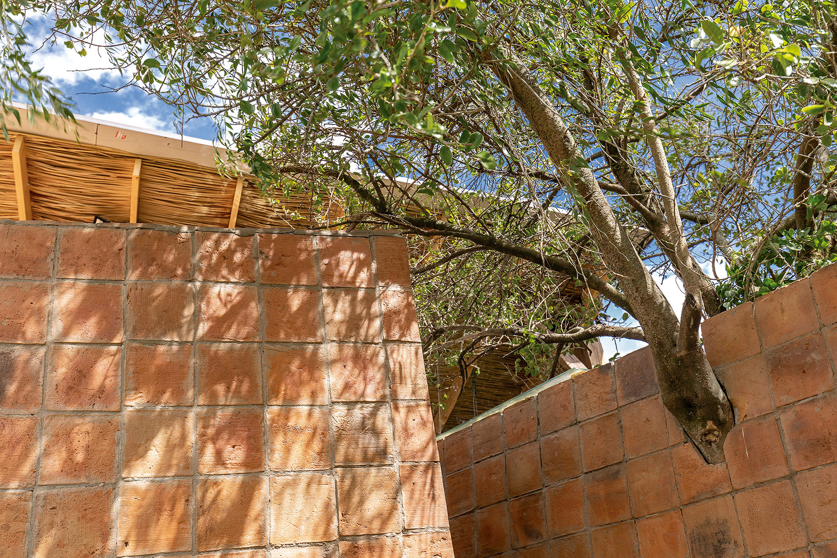 飞瓦住宅，厄瓜多尔 / Daniel Moreno Flores-19