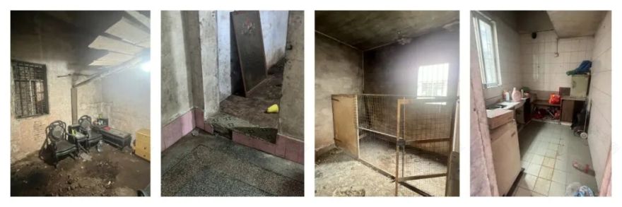 东莞旧城区30余年老宅改造·《庭》-6