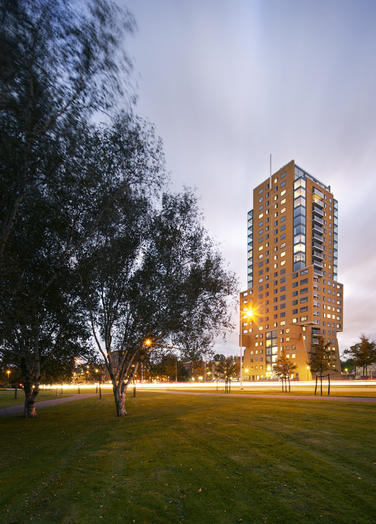 法罗斯（埃及亚历山大港外的一个岛名，岛上曾建有著名的灯塔）丨Liesbeth van der Pol及其团队-20