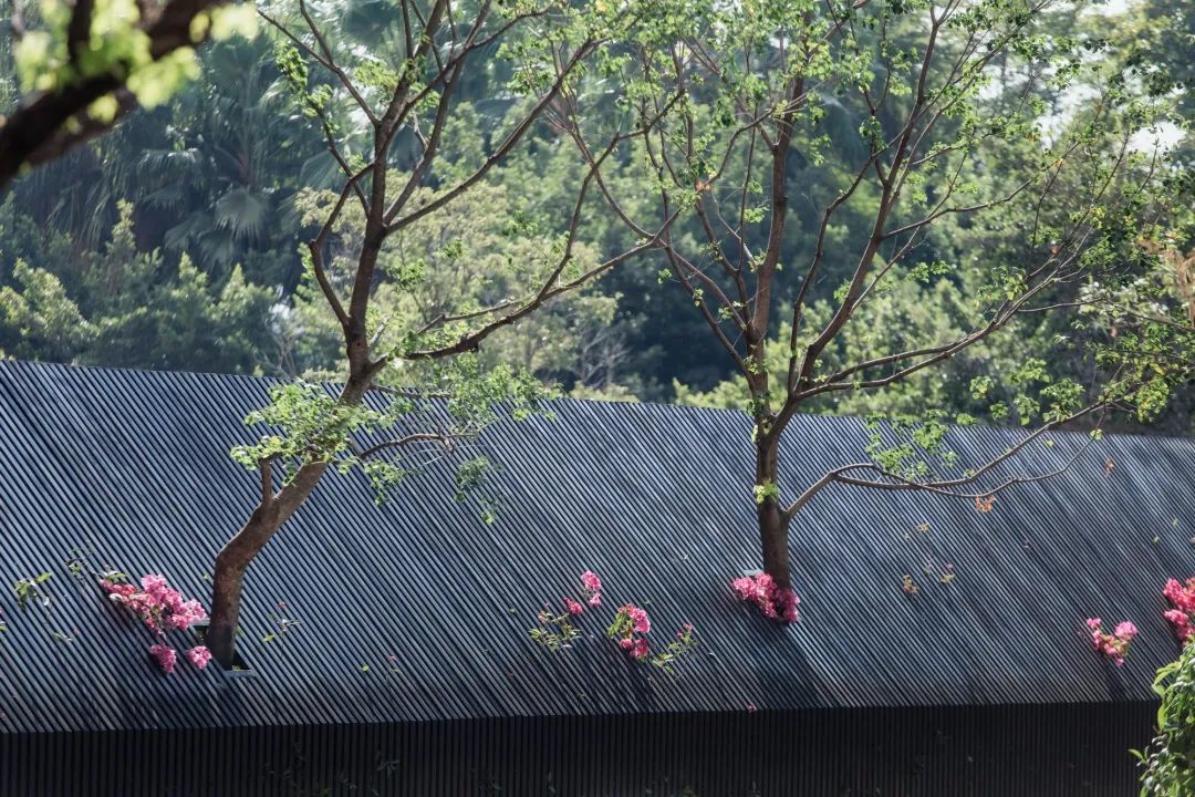 《治愈社区》空间模块设计，用景观营造治愈人心-91