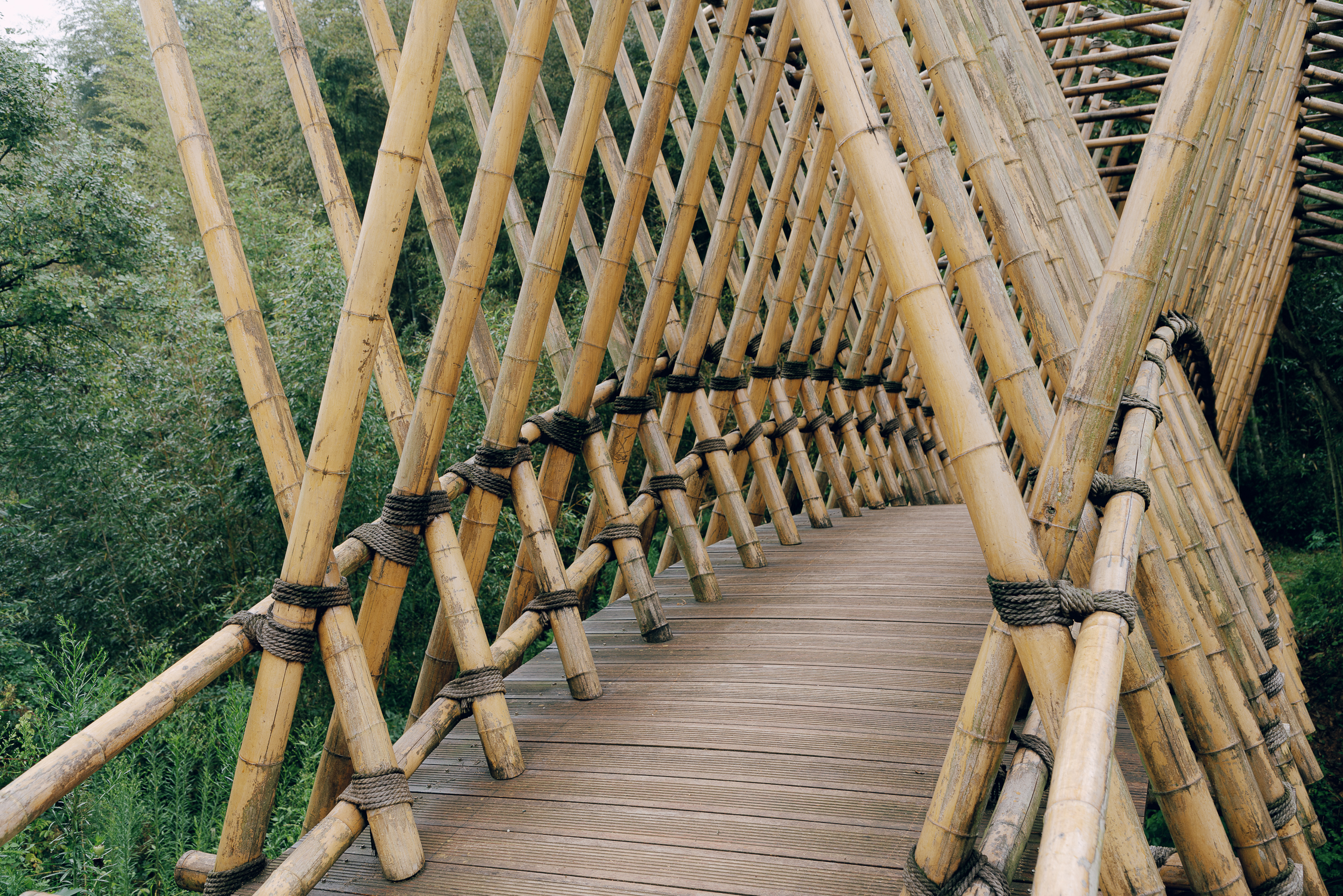 Qingshan village bamboo bridge-12