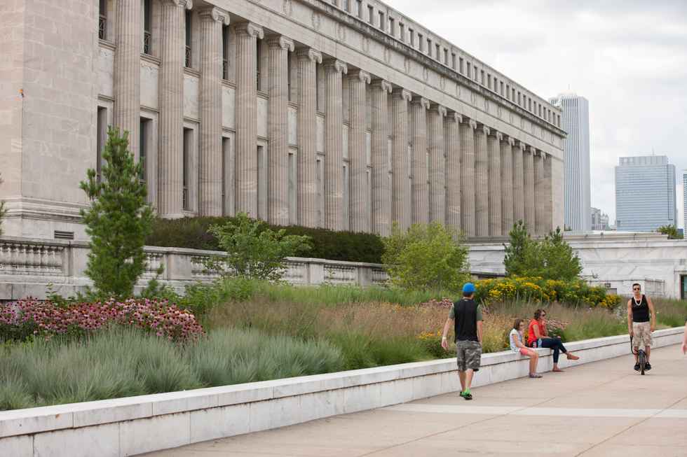 Field Museum of Natural History Landscape | Chicago Native Landscape Design-21