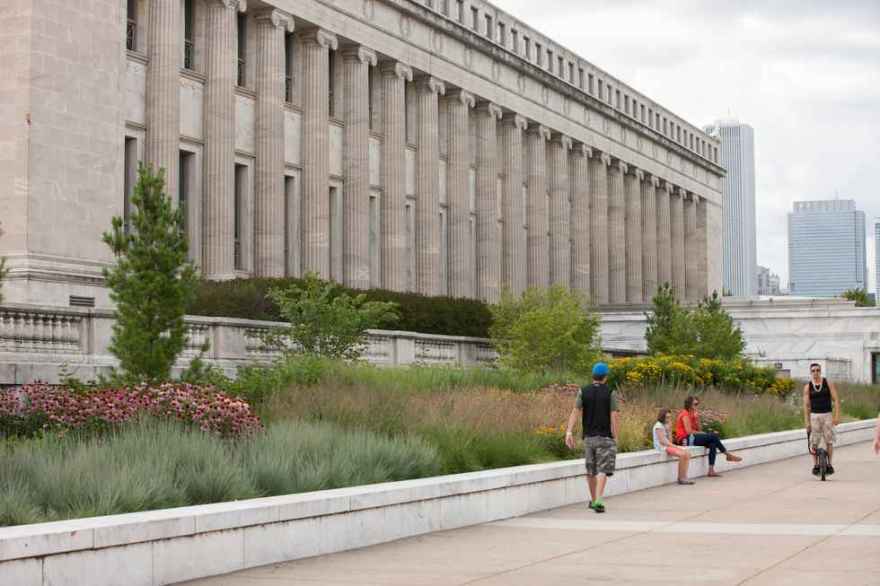 Field Museum of Natural History Landscape | Chicago Native Landscape Design-21