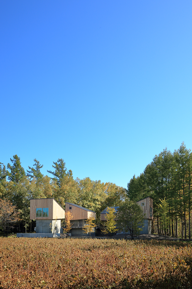 美瑛别墅群丨佐野健太建筑设计事务所-11