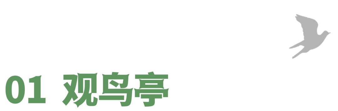 南沙湿地观鸟艺术竹构丨中国广州丨竖梁社,华南理工大学建筑学院-16