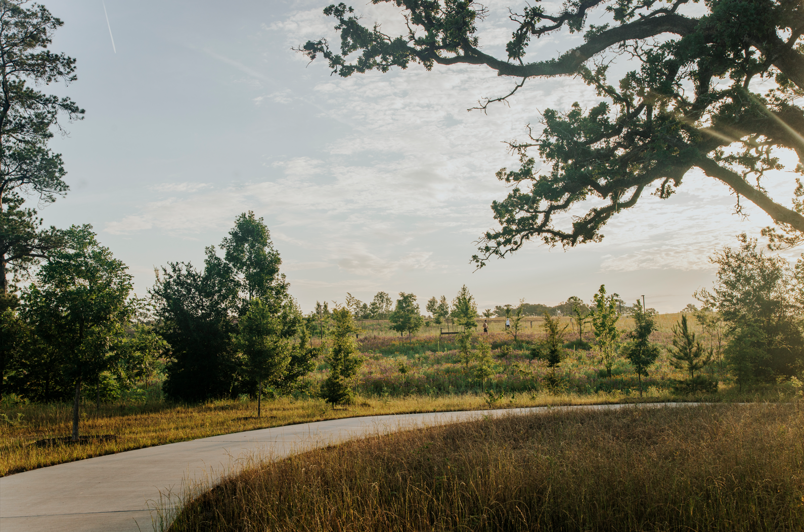 Kinder Land Bridge and Cyvia and Melvyn Wolff Prairie at Memorial Park | Nelson Byrd Woltz Landscape Architects-17