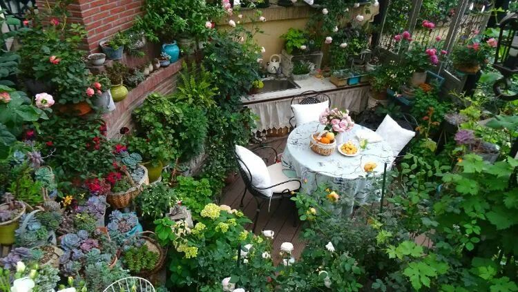 拥有一个这样的小院，人生足矣！-2