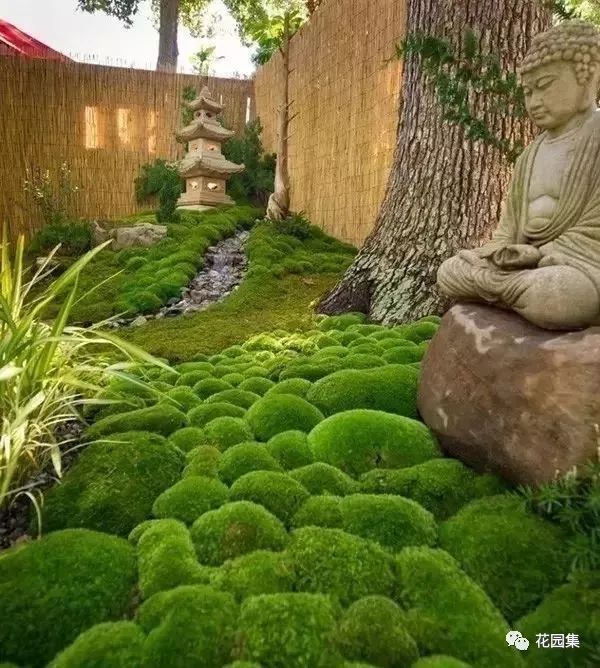 最美不过苔造园,探寻东方庭院的诗意之美-36